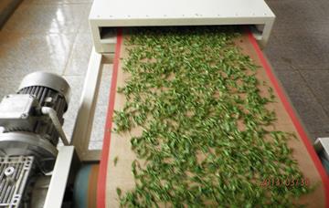 微波茶葉烘干機(jī)