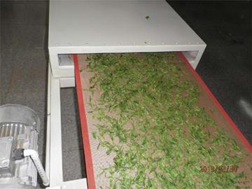 帶式淀粉干燥殺菌設(shè)備